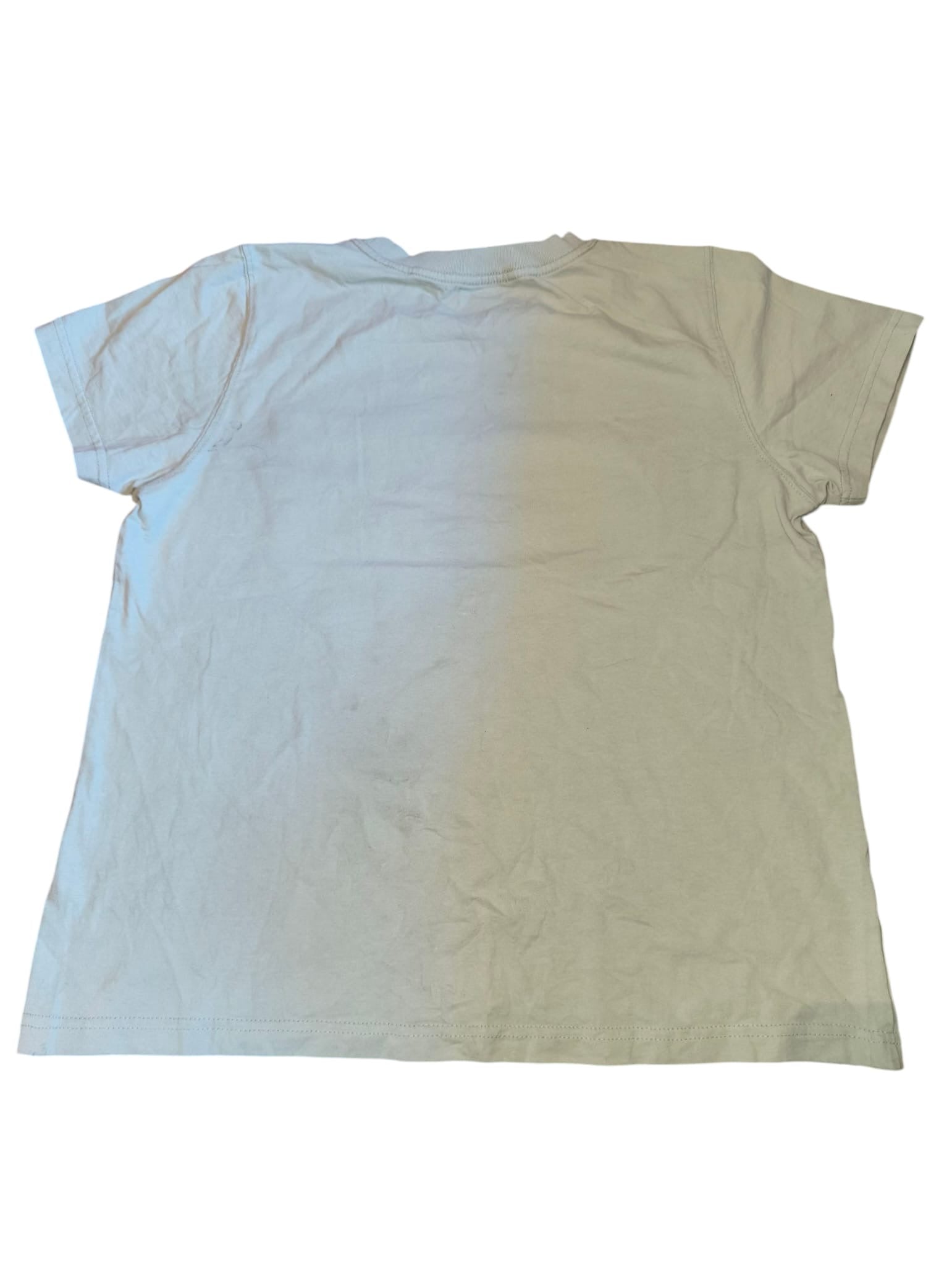 Dickies Light Green T-Shirt Men’s Small